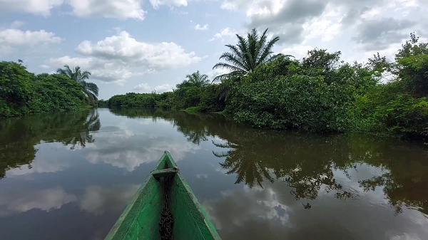 Xavi Bird Sanctuary