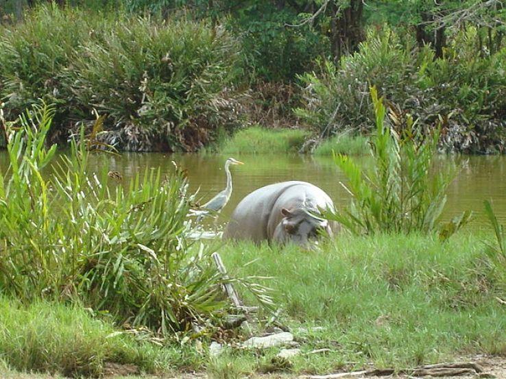 Bia National Park