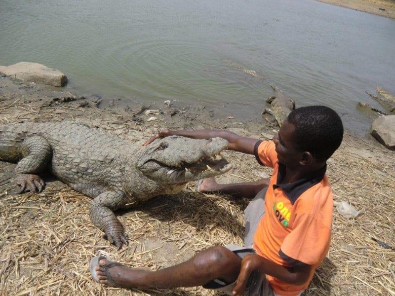 Image of Paga Crocodile Pond