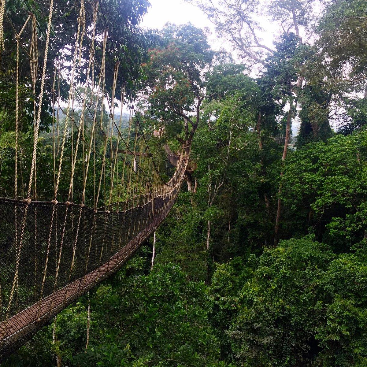 Image of Kakum National Park