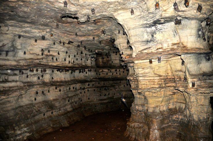 Image of Buoyem Caves