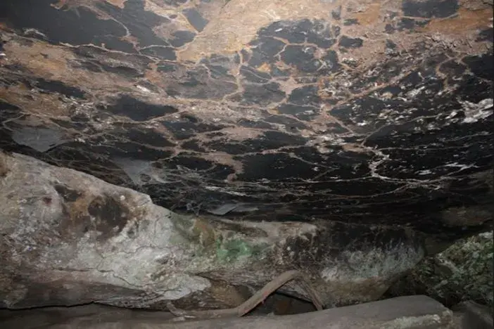 Tano Boase Sacred Grove