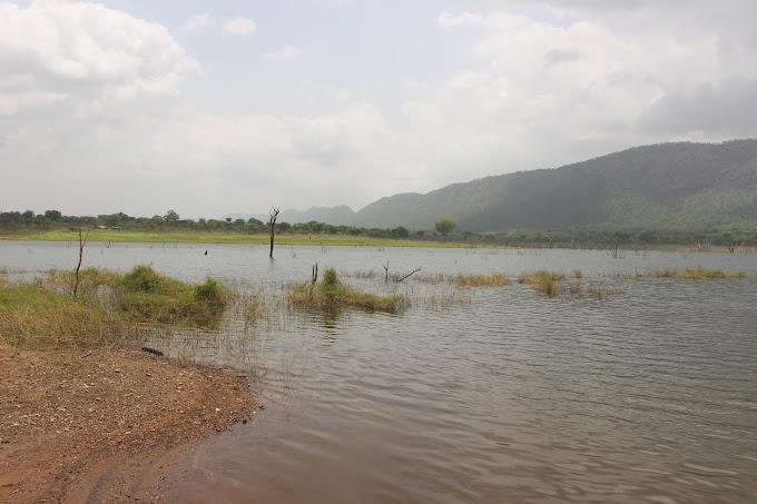 Image of Bui National Park