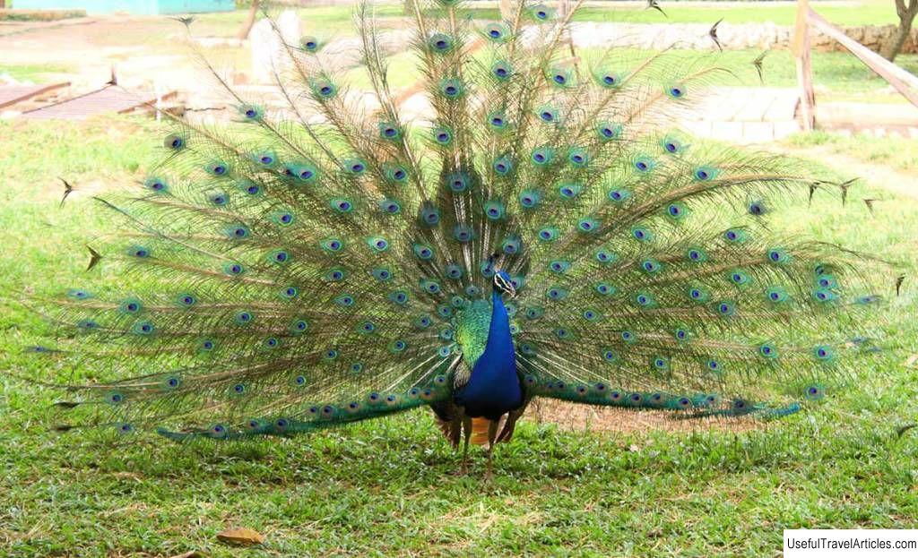 Image of Kumasi Zoo