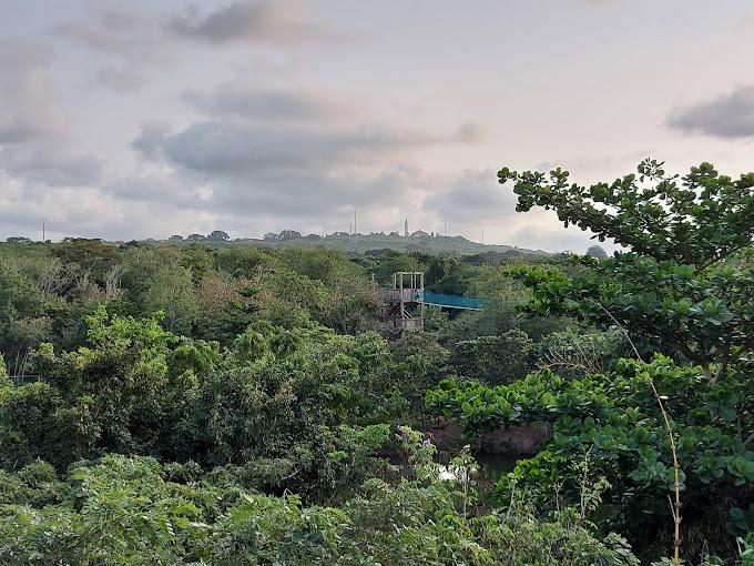 Image of Legon Botanical Garden