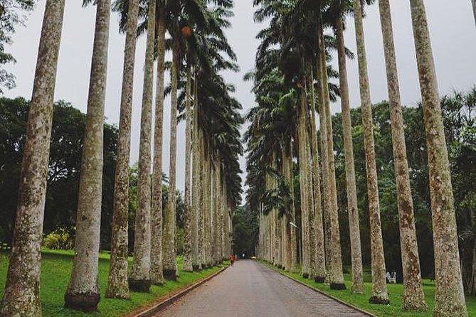 Aburi Botanical Garden