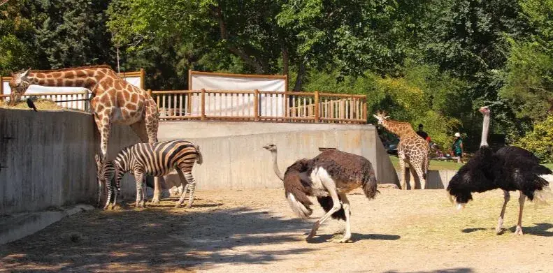 Kumasi Zoo