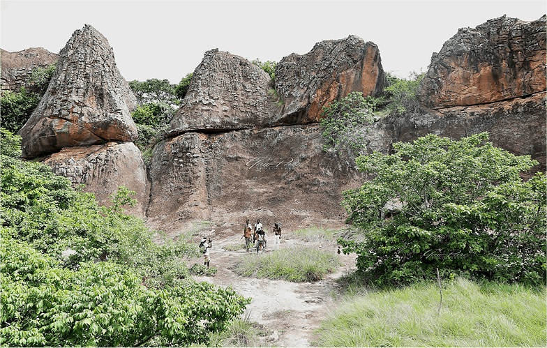 Image of Tano Boase Sacred Grove