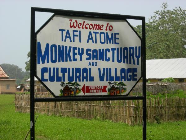 Tafi Atomey Monkey Sanctuary