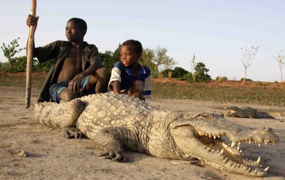 Image of Paga Crocodile Pond