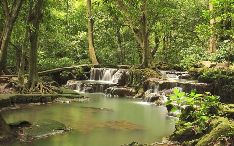 Image of Bia National Park