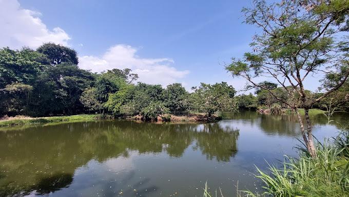 Image of Legon Botanical Garden