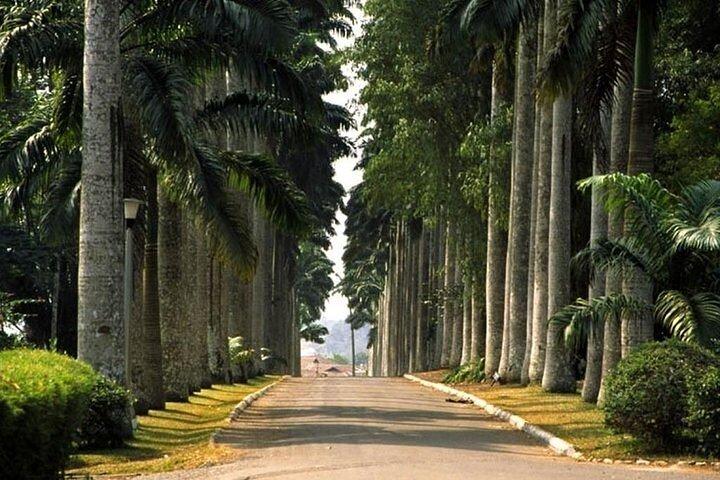 Image of Aburi Botanical Garden